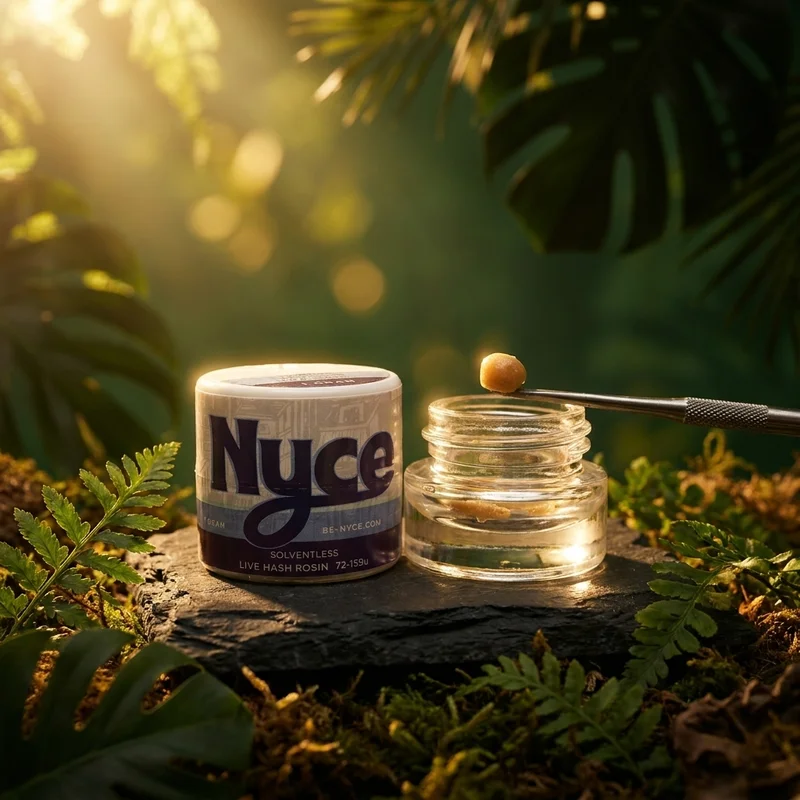Cannabis concentrate in jungle setting