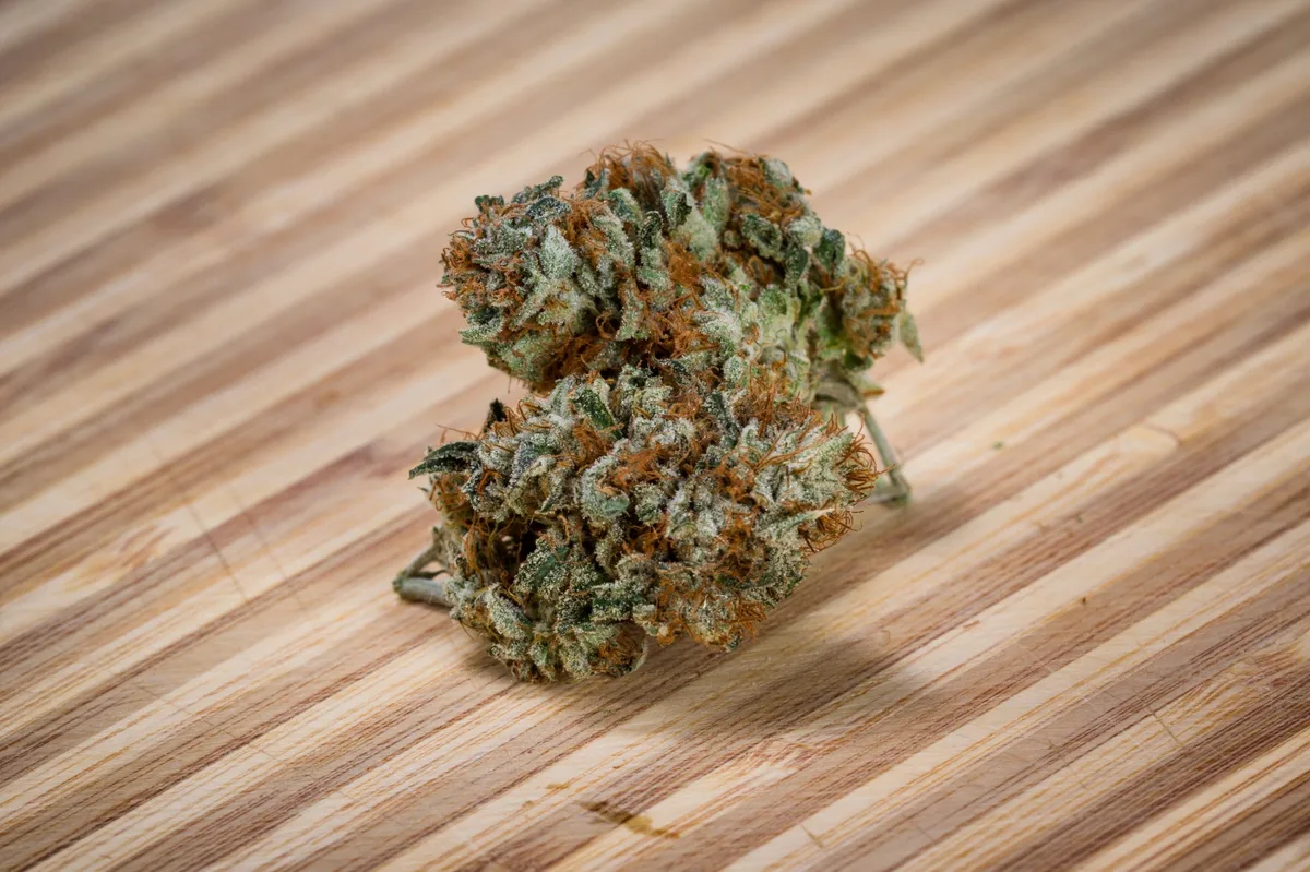 Premium cannabis flower bud on wood