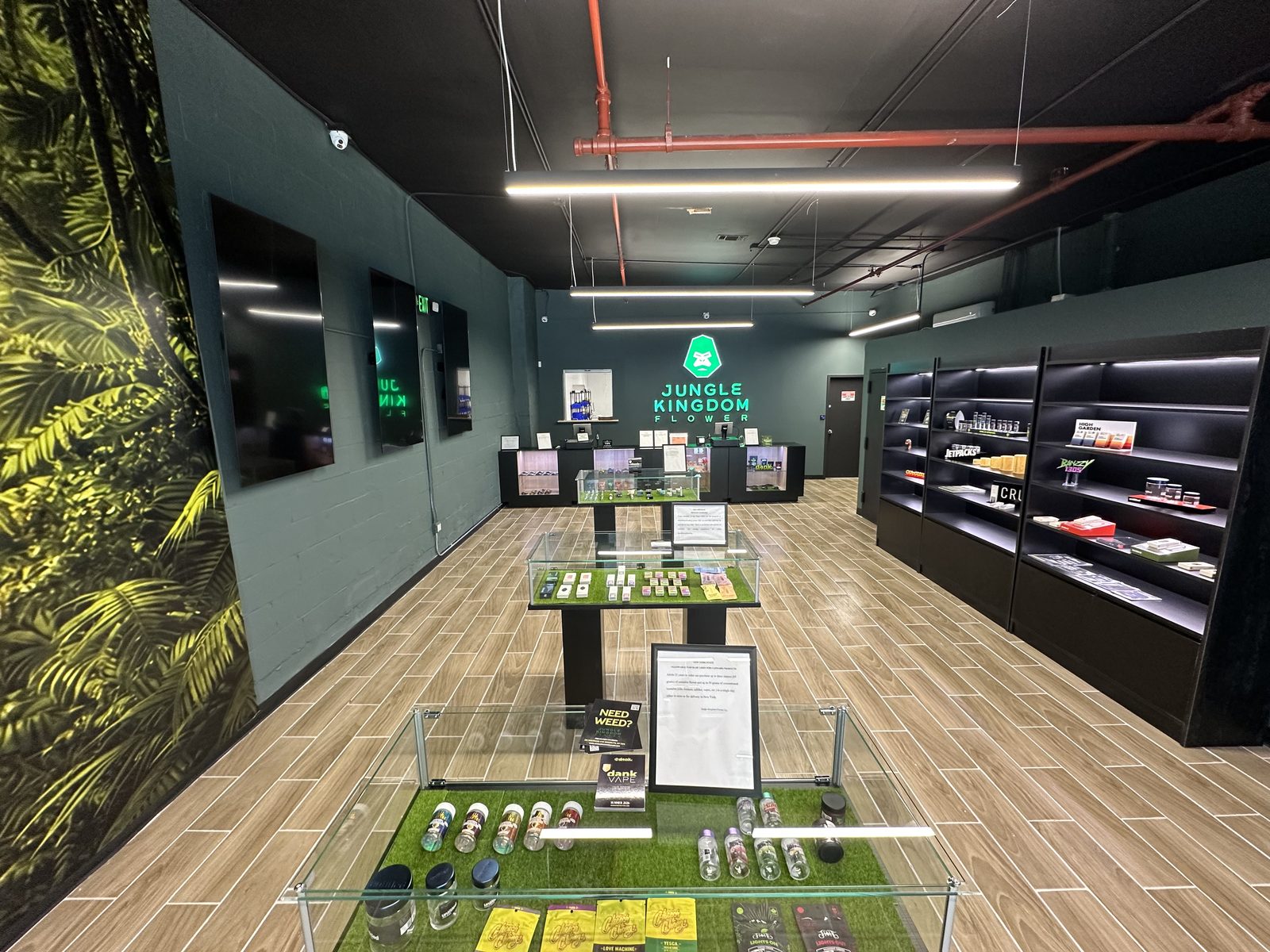 Product display cases with vapes, edibles, and pre-rolls at Jungle Kingdom Flower East Williamsburg