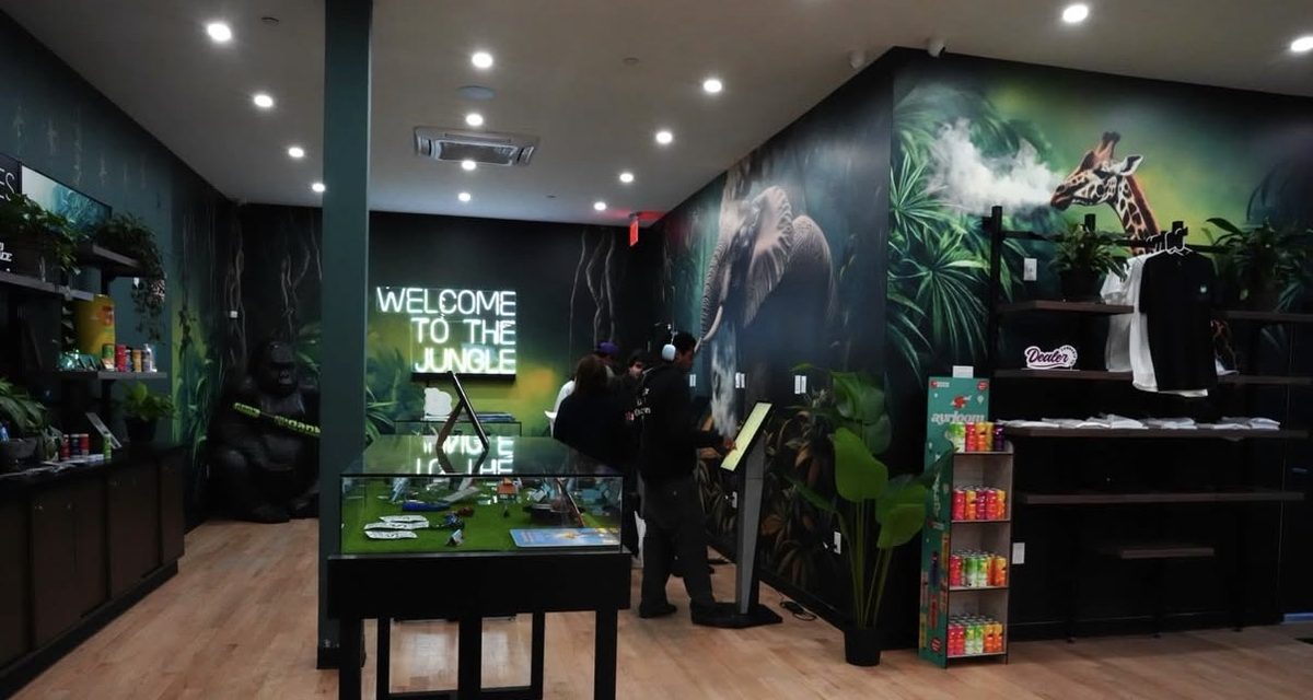 Inside Jungle Kingdom Flower dispensary - Bed-Stuy cannabis delivery